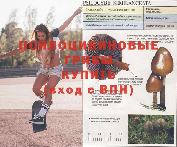 кокаин премиум Магас