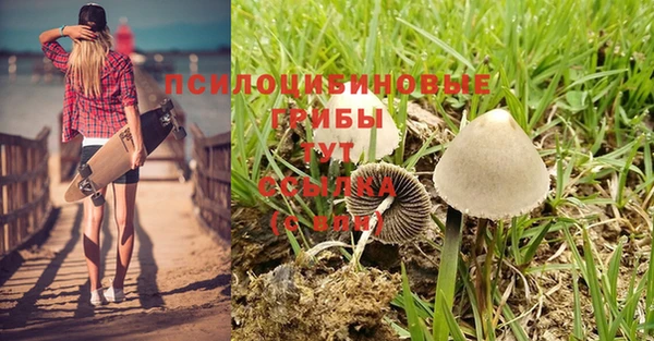 кокаин премиум Магас