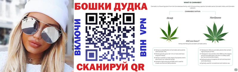 Купить  Кириши  Канабис план 